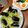 ngta05's cooksnap of when they made 簡単！コストコのムール貝 de パスタ♪.