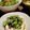 とろろ☆'s cooksnap of when they made きゅうりと塩昆布の冷奴.
