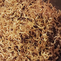 ななみはママ's cooksnap of when they made しその実＆ちりめんじゃこの佃煮です♪.