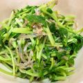 ペモコ's cooksnap of when they made 豆苗としらすの胡麻ごまサラダ。.