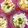 ふたごゆき's cooksnap of when they made ☆白菜☆りんご☆シャキシャキサラダ.