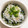 もぐ・ω・くま's cooksnap of when they made 我が家の定番！しらす丼.