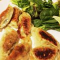 FromSydney's cooksnap of when they made ヘルシー簡単♪とうふ餃子.