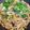 やよい・M's cooksnap of when they made たっぷりネギの焼きうどん.