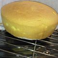 クックKY866E☆'s cooksnap of when they made バター不使用！失敗しにくいスポンジケーキ.