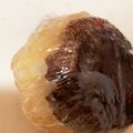 ふぁんころ's cooksnap of when they made 焼きのこにぎり♫（変わり焼きおにぎり）.