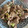 berry☆'s cooksnap of when they made とろみが旨い至福の“ねぎ塩豚炒め(丼)”.