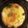 クック6PQIW1☆'s cooksnap of when they made サッポロ一番塩とんこつで!?参鶏湯風なべ.
