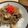 papikun's cooksnap of when they made 素朴な我が家の大根の味噌汁.