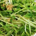 あゆたっくん's cooksnap of when they made 豆苗と大根の節約サラダ.