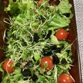 おはなすき's cooksnap of when they made 簡単にも！経済的にも！かいわれ大根サラダ.