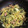 クック0M50ZA☆'s cooksnap of when they made ほうれんそうとツナの和風パスタ.