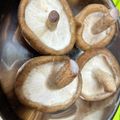 クックH86AFM☆'s cooksnap of when they made 長持ちのコツ☆しいたけの冷蔵庫保存.