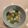 カバゴン's cooksnap of when they made トロトロかぶのベーコン煮.