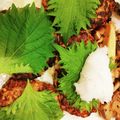 Sun Flover's cooksnap of when they made 豆腐ハンバーグ 和風にんにくソース.
