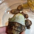 toshio39's cooksnap of when they made レンジで簡単！里芋の皮がツルっと剥ける.