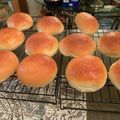こえち's cooksnap of when they made 給食の味♪ふかふかコッペパン/バンズ.