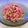 クックLDX6TD☆'s cooksnap of when they made 紅芯大根のツナサラダ.