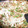 クックE662AA☆'s cooksnap of when they made 簡単！ お好みの具で基本のもんじゃ焼き！.