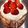 goopaku's cooksnap of when they made フローラで☆苺のショートケーキ.