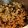 クックUTD436☆'s cooksnap of when they made 大豆の煮豆.
