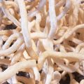 れんげにゃにゃ's cooksnap of when they made 子供も喜ぶ！おやつにフライdeうどん！.