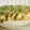 さくらん餅's cooksnap of when they made キャベツとチーズだけのとん平焼き！.