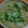 55才のおじさん's cooksnap of when they made かぶのとろとろ鶏そぼろ餡掛け.