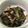 クックZUE6QD☆'s cooksnap of when they made 《妊婦ご飯》ひじきとほうれん草のツナ和え.