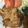 クックRCHX24☆'s cooksnap of when they made 材料3つ。鶏むね肉の塩麹焼き.