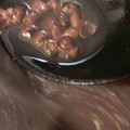 ふぁんころ's cooksnap of when they made 超簡単！我が家のおしるこ.