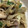 さゆあい's cooksnap of when they made 牛肉とごぼうの卵とじ.