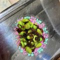 クック347QFS☆'s cooksnap of when they made ピリ辛ガーリック枝豆.