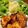 しゅがーぐらいだー's cooksnap of when they made ☆やわらか～い!!胸肉唐揚げ☆.