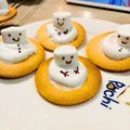 RUM✩'s cooksnap of when they made クリスマス♡とろけるスノーマンクッキー.