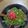 クックSHXI65☆'s cooksnap of when they made すき家風？！簡単ネギ玉牛丼！.