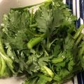 ベティ３'s cooksnap of when they made 春菊の簡単塩昆布サラダ.