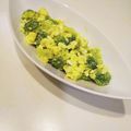 ☆雪矢☆'s cooksnap of when they made ブロッコリーの【タルタルサラダ】.
