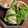 あゆちゃん＊'s cooksnap of when they made ◆失敗しない　基本のクレープ生地.