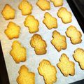 xxxrirexxx's cooksnap of when they made ノンバター☆ポリポリ強力粉クッキー.