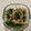 yokoyoko76's cooksnap of when they made 豆苗とえのきの塩昆布和え.