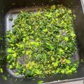 イアベアー's cooksnap of when they made 簡単美味・大根の葉炒め.