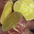 ポンナナ's cooksnap of when they made 子どもが自分で作れる「炊飯器de蒸し芋」.
