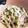 クックG1CG0C☆'s cooksnap of when they made お弁当に！レンコンの海苔塩きんぴら.