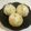 papikun's cooksnap of when they made 酒かすまんじゅう.