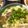 りえかママ's cooksnap of when they made カレー粉で一から作る♫カレーうどん.