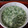takomayo's cooksnap of when they made ハマりすぎ３日連続笑　生のりトロトロ和え.