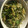 クックQGDQPT☆'s cooksnap of when they made 旨い！カブの皮のきんぴら.