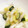 ピング〜's cooksnap of when they made 白だしで簡単♪和風なピクルス.