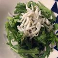 ベティ３'s cooksnap of when they made 超簡単♪春菊としらすのサラダ.